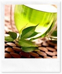 Антиоксиданты: где искать спасателей молодости