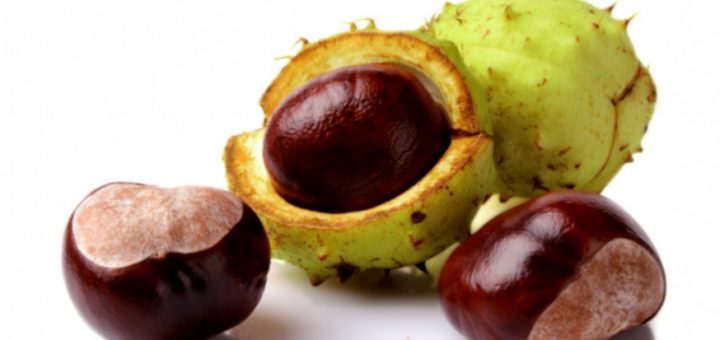 Экстракт конского каштана в составе косметических средств