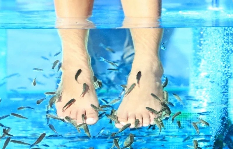 педикюр с рыбками Гарра Руфа