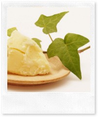 Баттеры для красоты кожи и волос