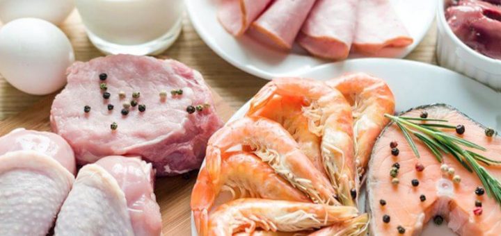 белковая диета