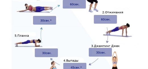 Схема круговой тренировки
