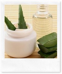 Аллантоин в  экстракте алоэ 