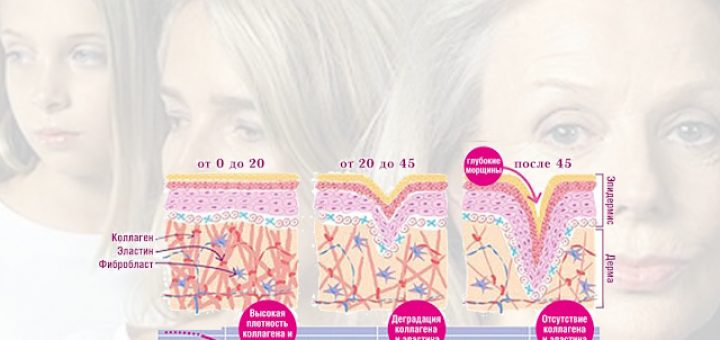 коллаген и возраст