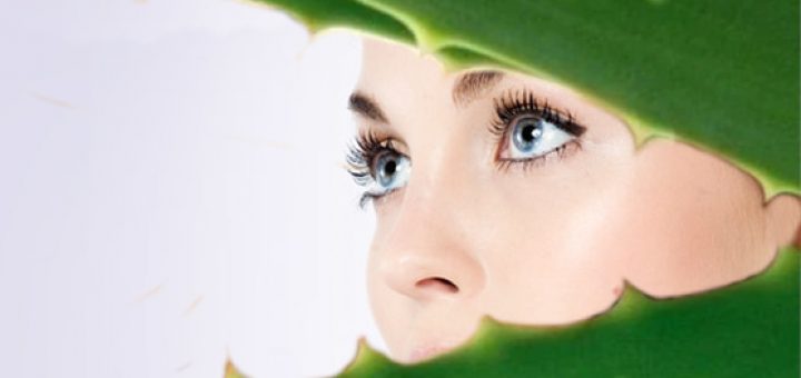 девушка и алоэ