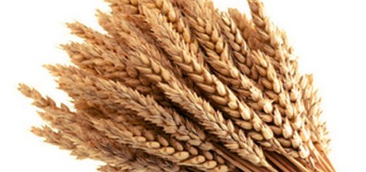 Злаки для зерновой диеты