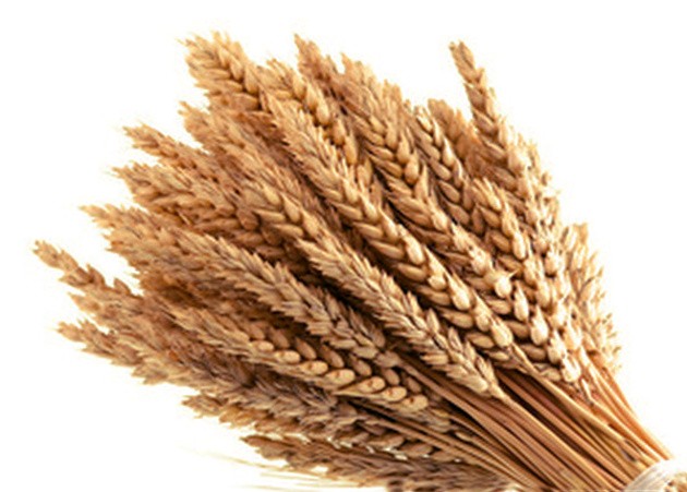 Злаки для зерновой диеты