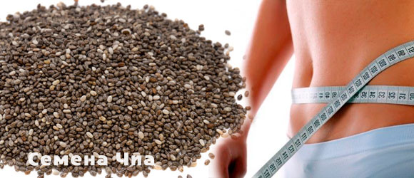 Семена чиа для похудения
