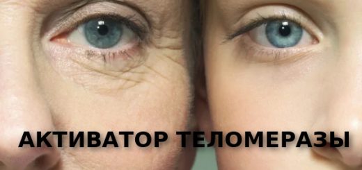 АКТИВАТОР ТЕЛОМЕРАЗЫ