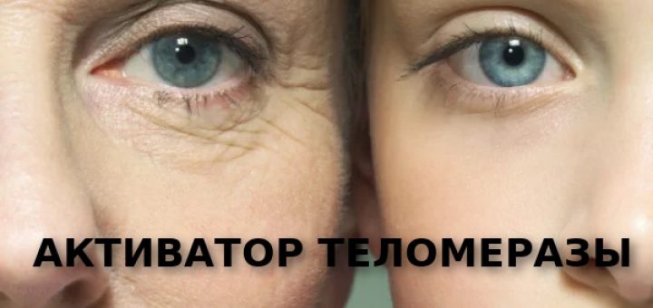 АКТИВАТОР ТЕЛОМЕРАЗЫ