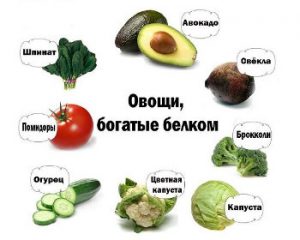 овощи богатые белком