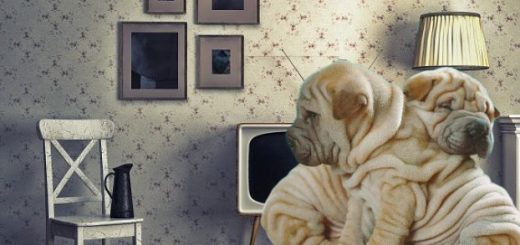 Складки после похудения