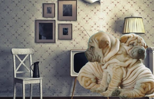 Складки после похудения