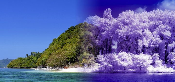 акклиматизация в теплых странах