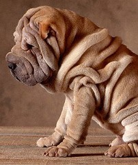 обвисла кожа