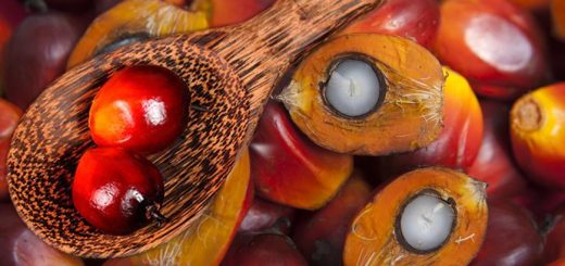 Пальмовое масло