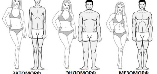 Эндоморфы, мезоморфы и эктоморфы