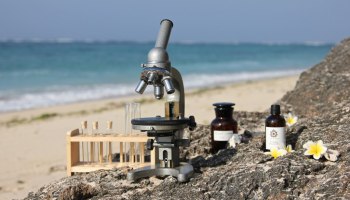 Натуральные ингридиенты косметики