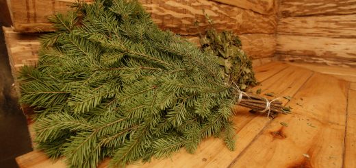 Хвойный веник