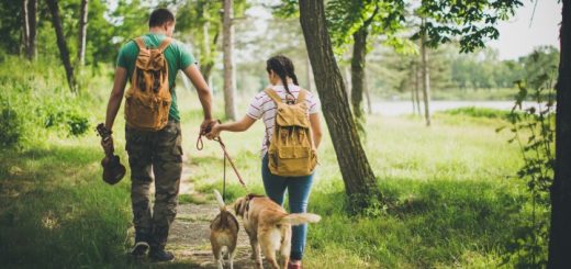 Остерегайтесь клещей на природе