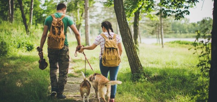 Остерегайтесь клещей на природе