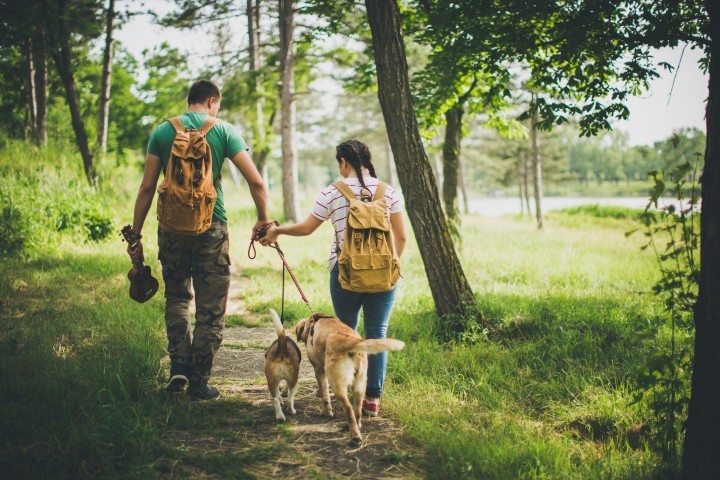 Остерегайтесь клещей на природе