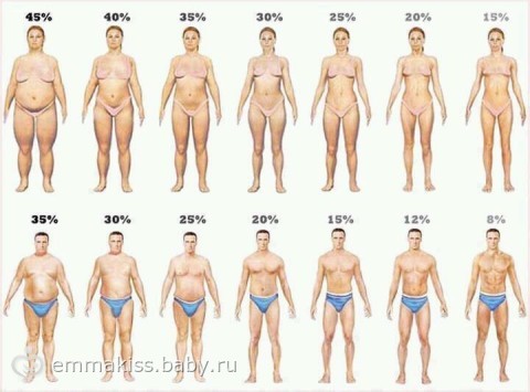 Определяем процент жира в организме