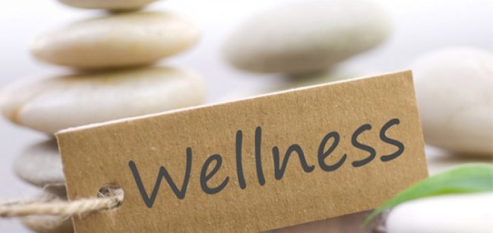 Что такое велнесс