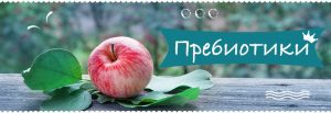 пребиотики