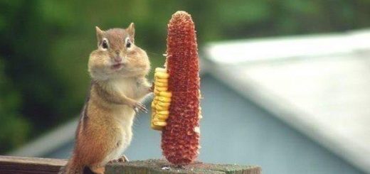 выйти из зажора