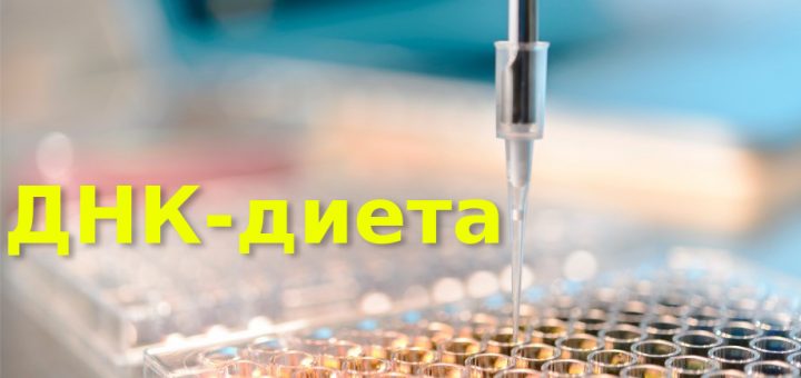 ДНК диета